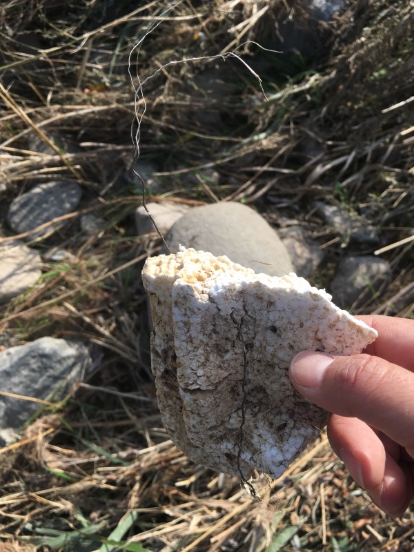 &gt;&lt;/p&gt;&lt;br&gt;  &lt;p align=