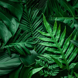 이미지가 없습니다.